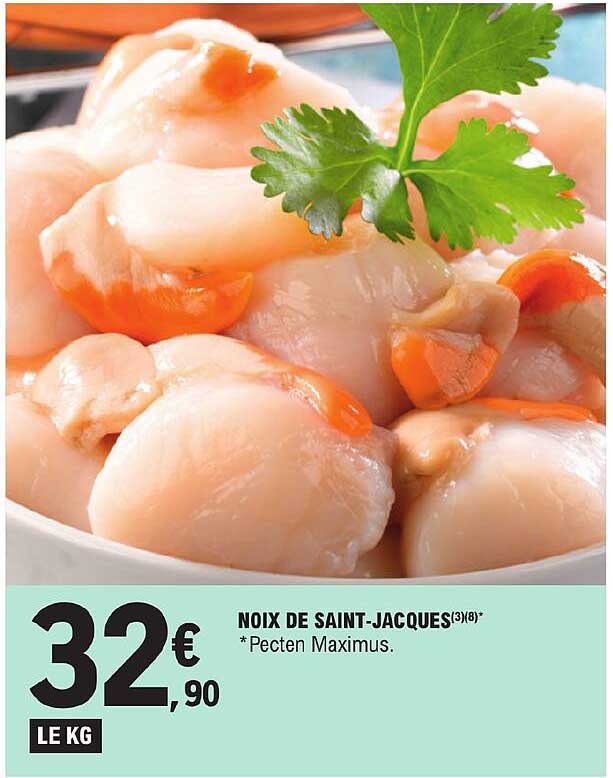 noix de saint-jacques