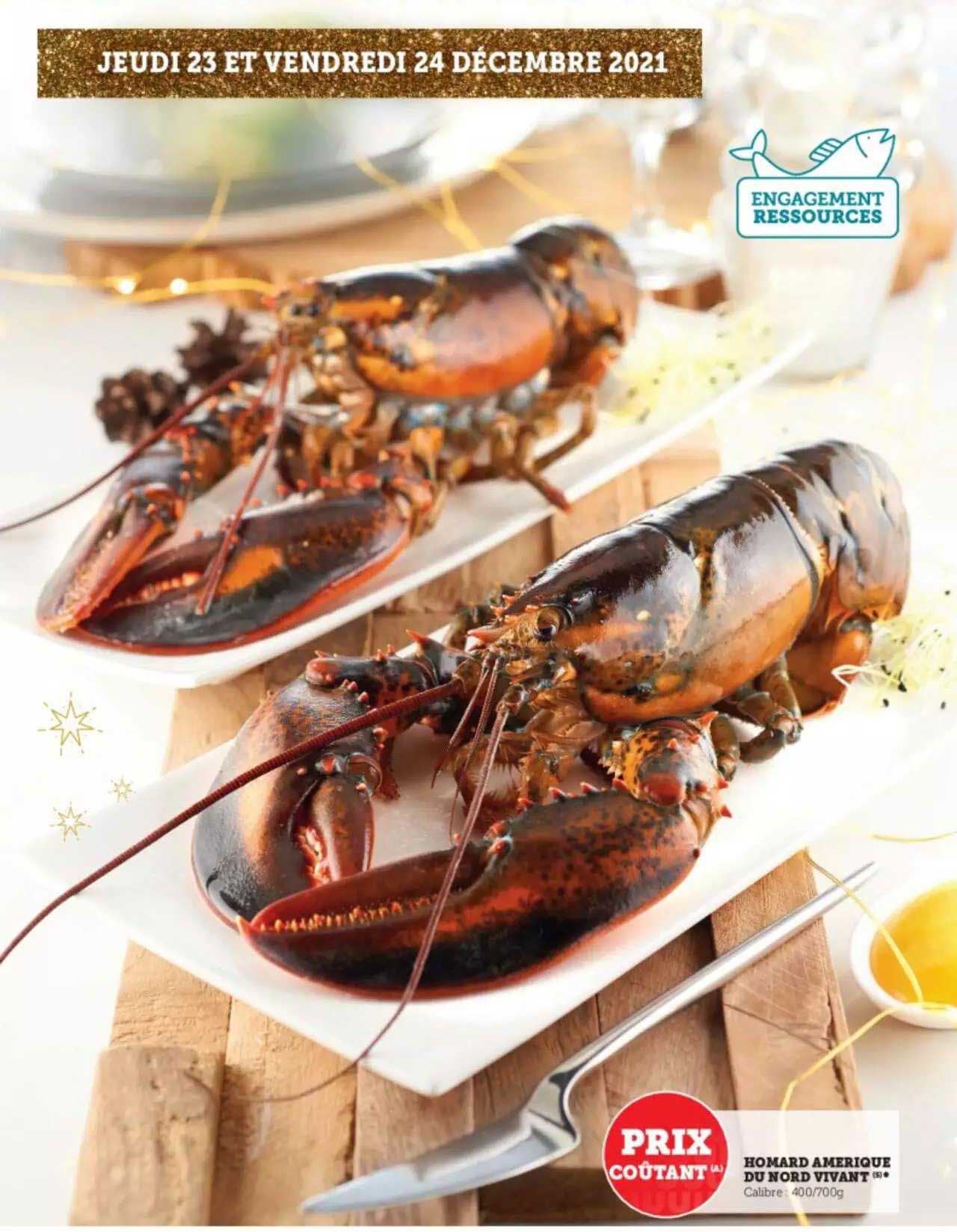 homard amerique du nord vivant