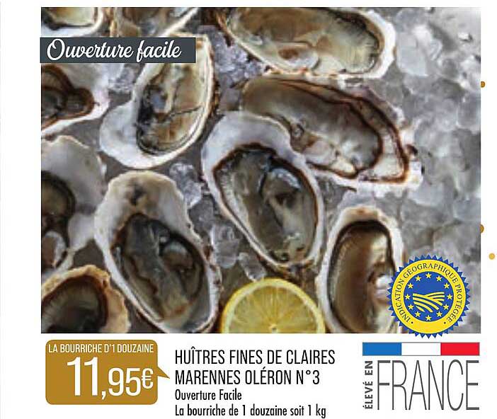 huîtres fines de claires marennes oléron n°3