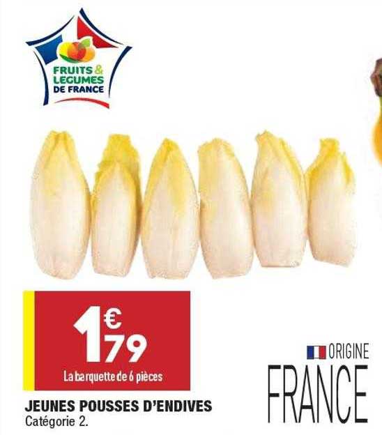 jeunes pousses d'endives