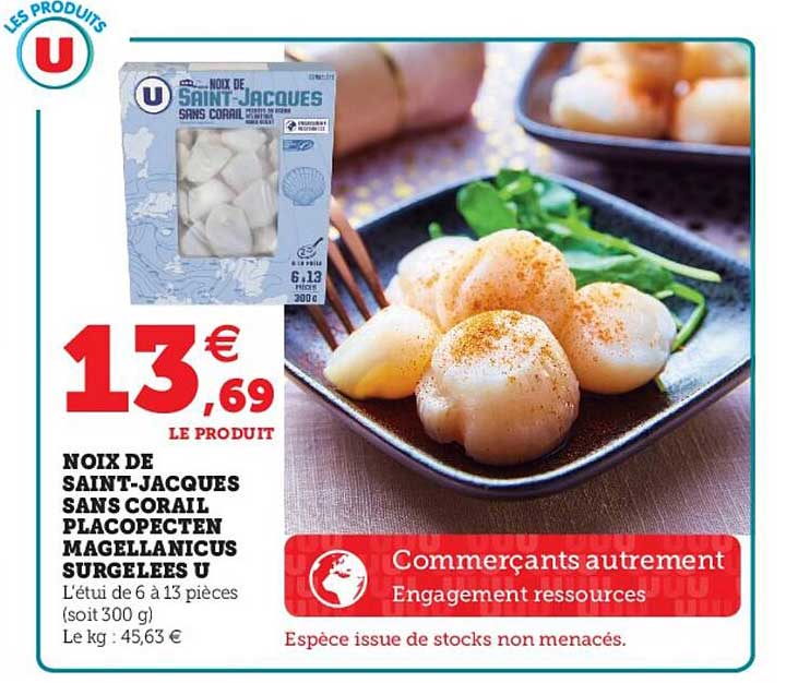 noix de saint-jacques sans corail placopecten magellanicus surgelées u