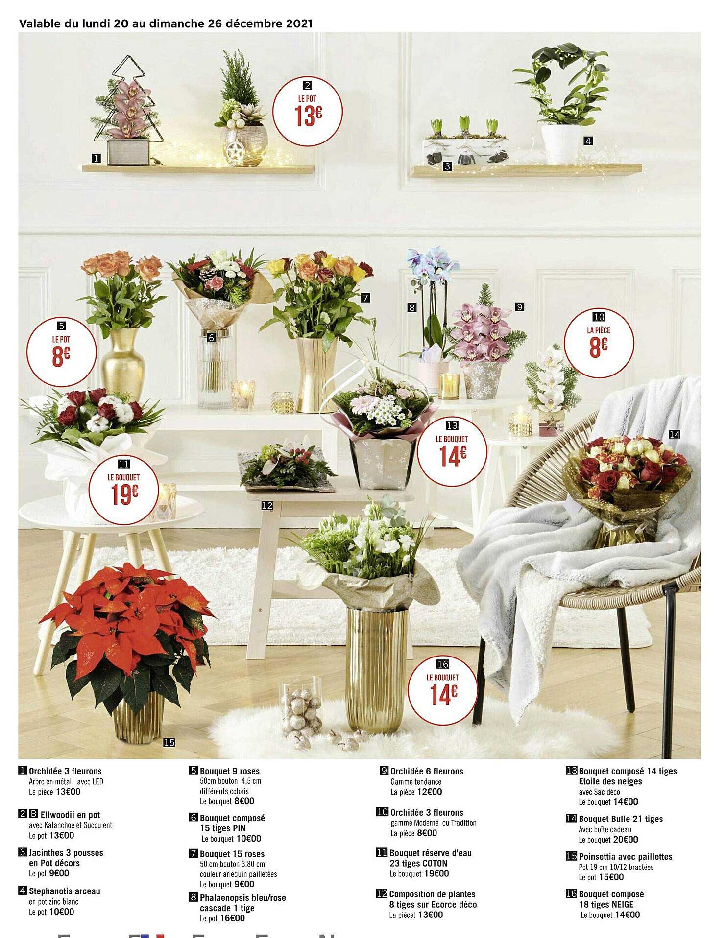 orchidée 3 fleurons, elwoodii en pot, jacinthes 3 pousses en pot décors, stephanotis arceau, bouquet 9 roses, bouquet composé 15 tiges pin, bouquet 15 roses, phalaenopsis 15 bleu-rose cascade 1 tige