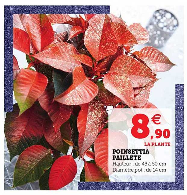 poinsettia paillete