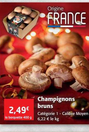 champignons bruns