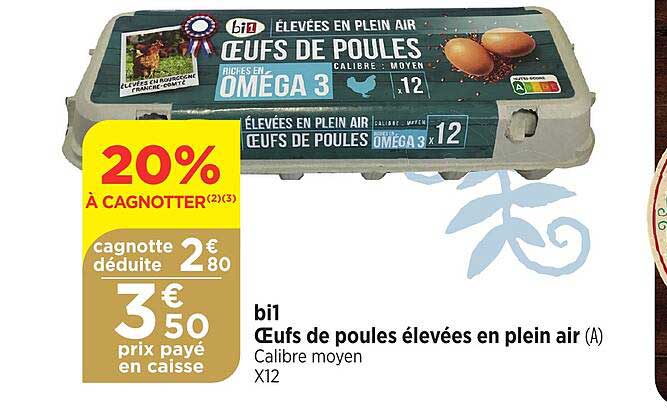 bi1 œufs de poules élevées en plein air