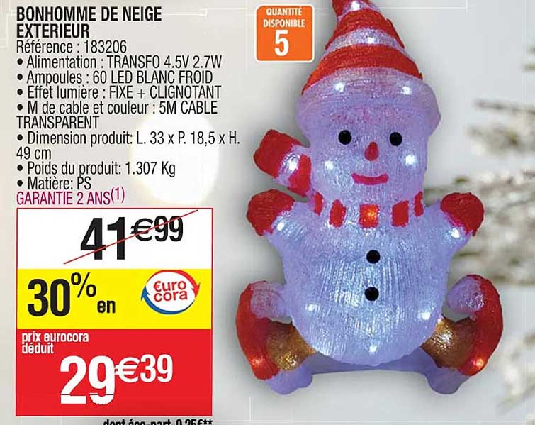 bonhomme de neige exterieur