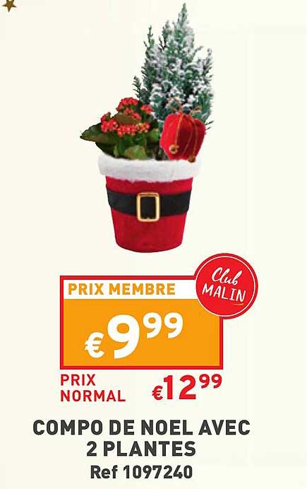 compo de noel avec 2 plantes