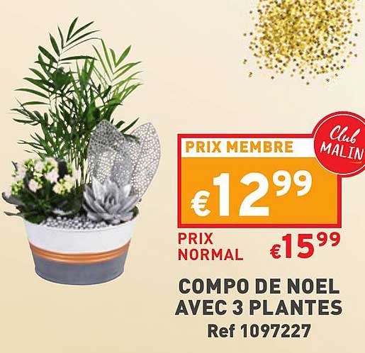compo de noel avec 3 plantes