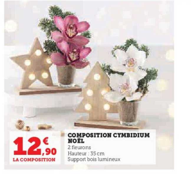 composition cymbidium noël