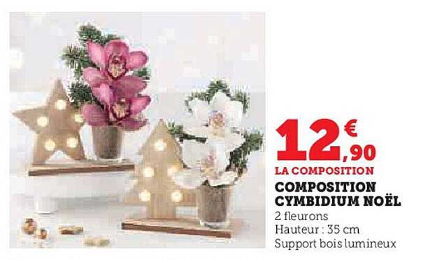 Composition Cymbidium Noël