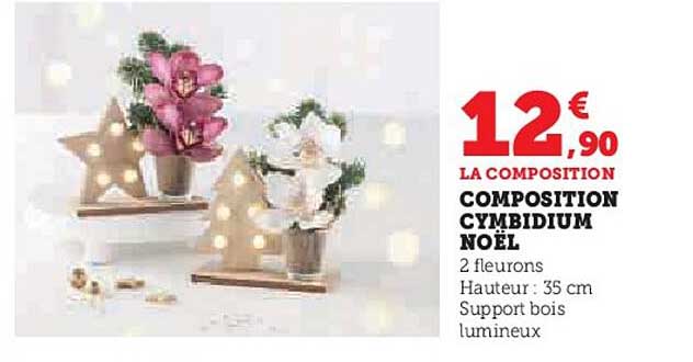 composition cymbidium noel