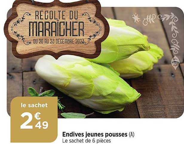 Endives Jeunes Pousses
