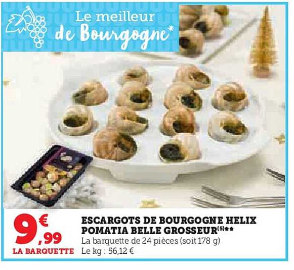 escargots de bourgogne gelix pomatia belle grosseur
