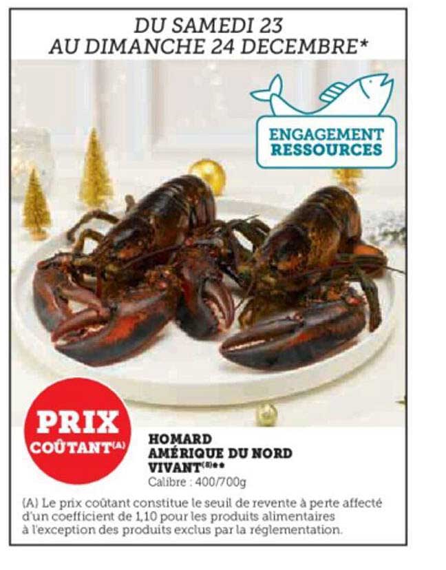 homard amerique du nord vivant