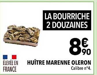 huître marenne oleron