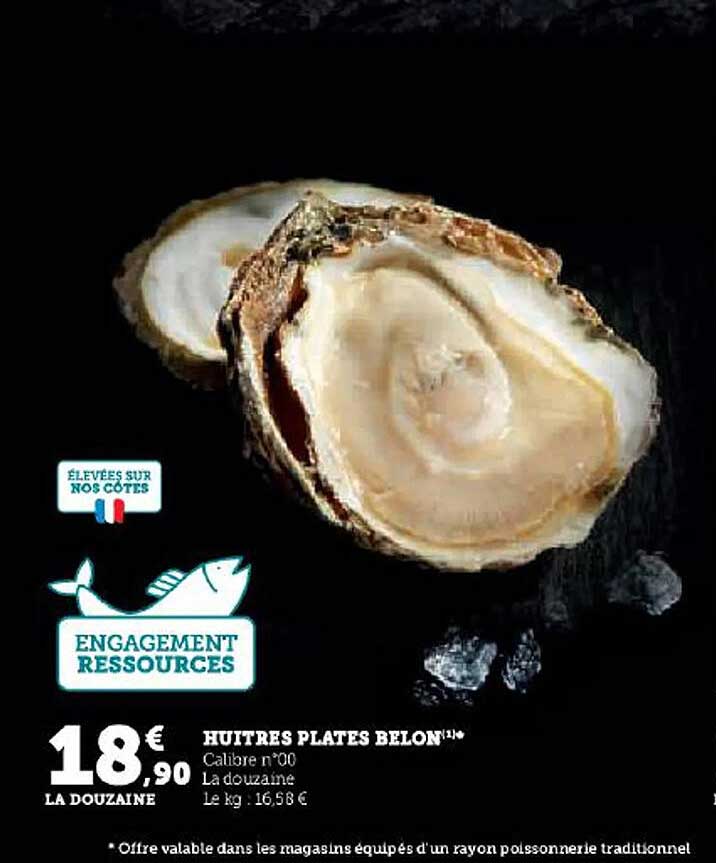 huitres plates belon