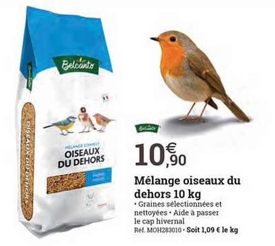 mélange oiseaux du dehors 10 kg