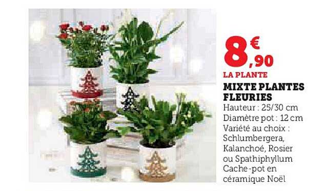 mixte plantes fleuries