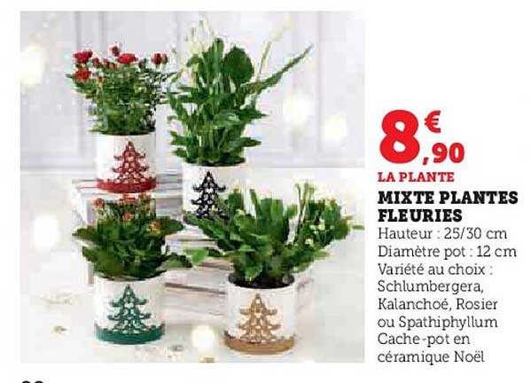 mixte plantes fleuries