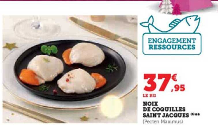 noix de coquilles saint jacques