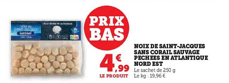 noix de saint-jacques sans corail sauvage pêchées en atlantique nord est