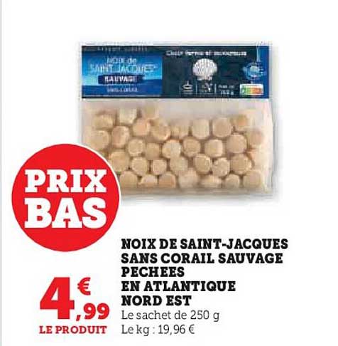 noix de saint-jacques sans corail  sauvage pechees en atlantique nord est