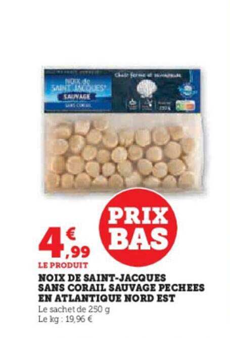 noix de saint-jacques sans corail sauvage pêchées en atlantique nord ouest