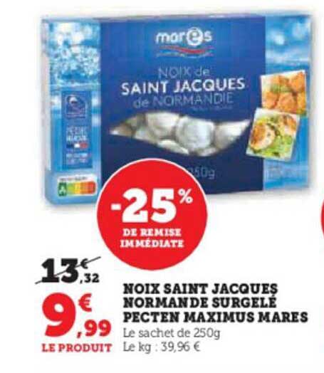 noix saint jacques normande surgelé pecten maximus mares