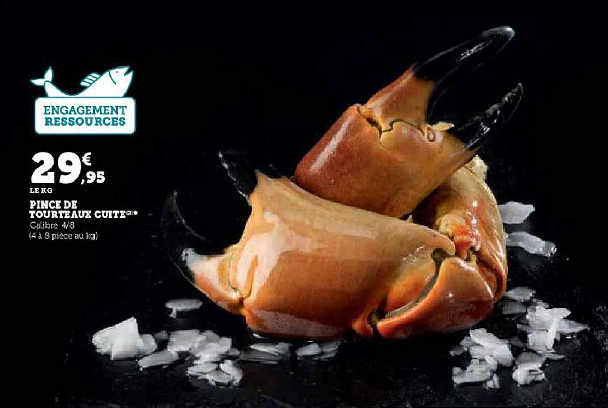 pince de tourteaux cuite