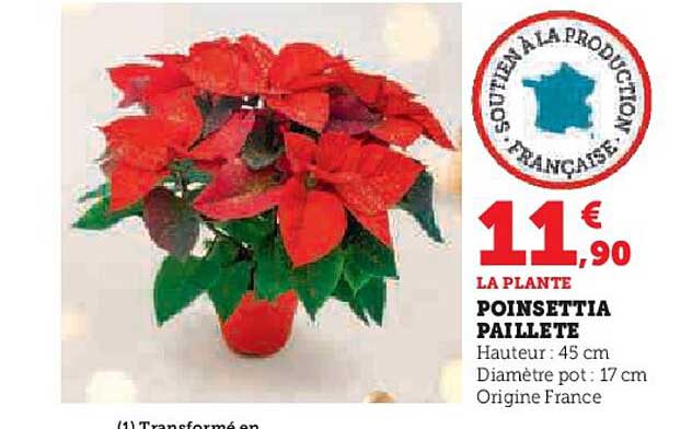 Poinsettia Paillete