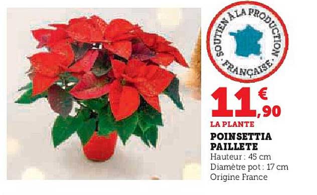 poinsettia paillete