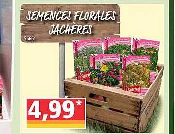 semences florales jachères