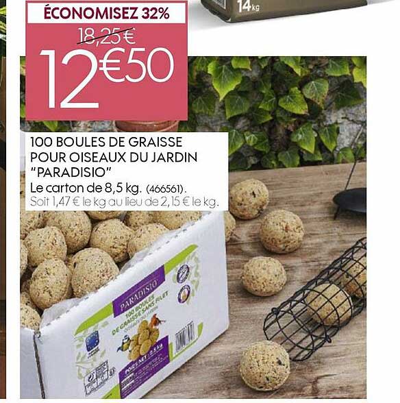 100 boules de graisse pour oiseaux du jardin "paradisio"