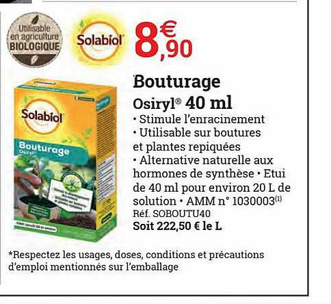 Bouturage Osiryl Solabiol