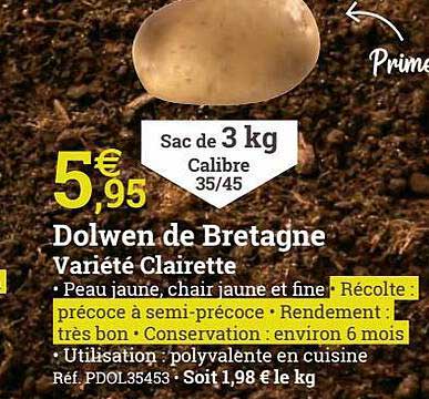 dolwen de bretagne variété clairette
