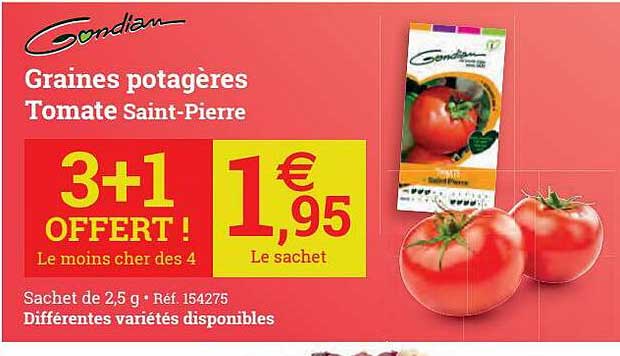 graines potagères tomate saint-pierre gondian