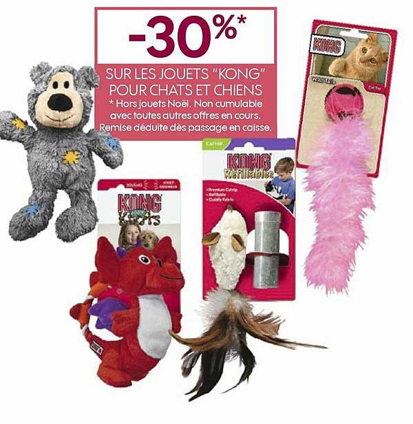 jouets "kong" pour chats et chiens