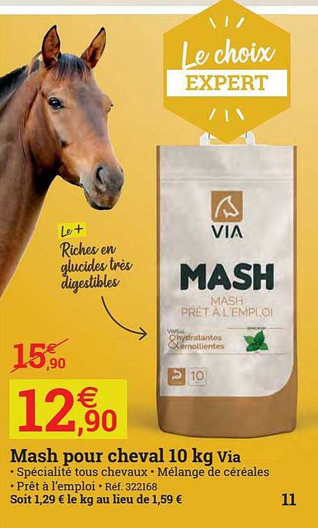 mash pour cheval via