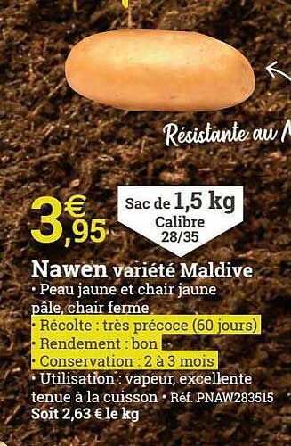 nawen variété maldive