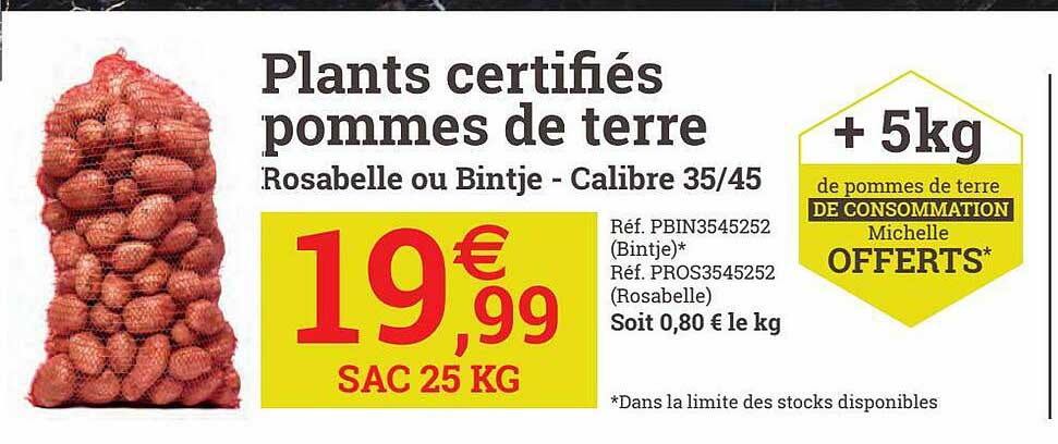 plants certifiés pommes de terre rosabelle ou bintje - calibre 35 ou 45
