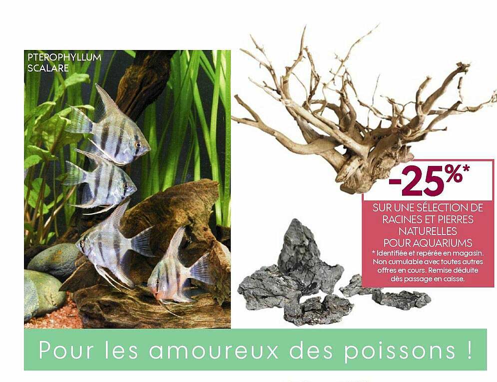 racines et pierres naturelles pour aquariums