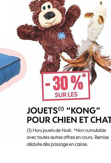 jouets "kong" pour chien et chat
