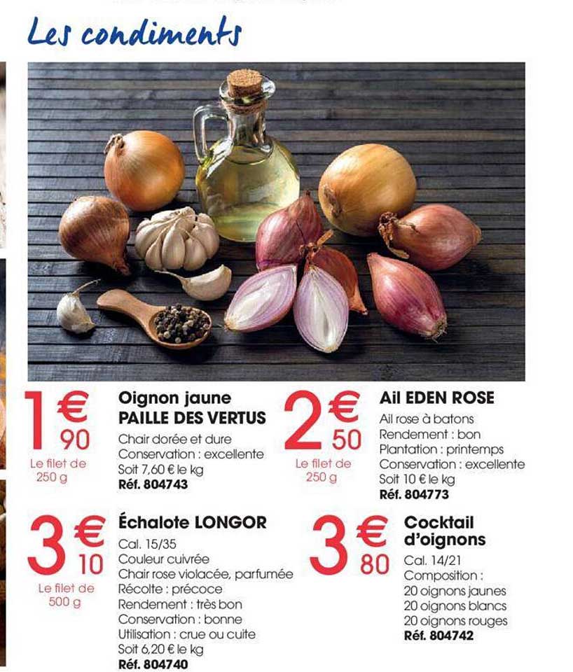 les condiments : oignon jaune paille des vertus, échalote longor, ail eden rose, cocktail d'oignons