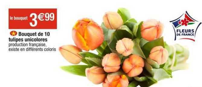 Bouquet De 10 Tulipes Unicolores