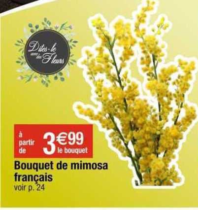 Bouquet De Mimosa Français