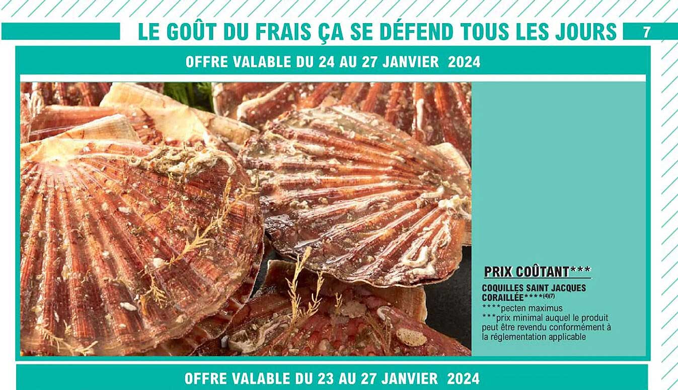 Coquilles Saint Jacques Coraillée