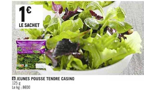 jeunes pousse tendre casino