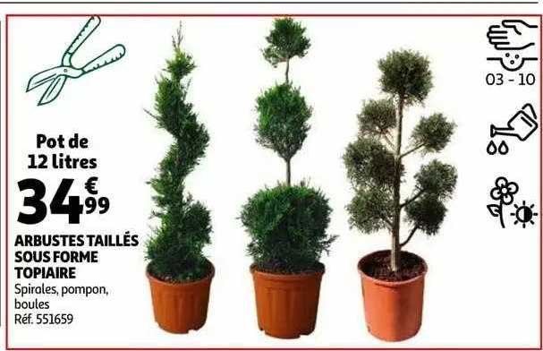 arbustes taillés sous forme topiaire