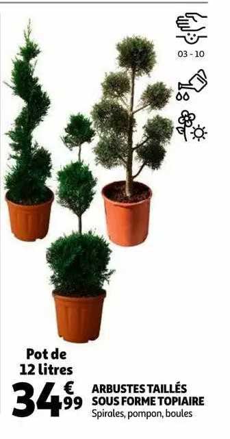 arbustes taillés sous forme topiaire