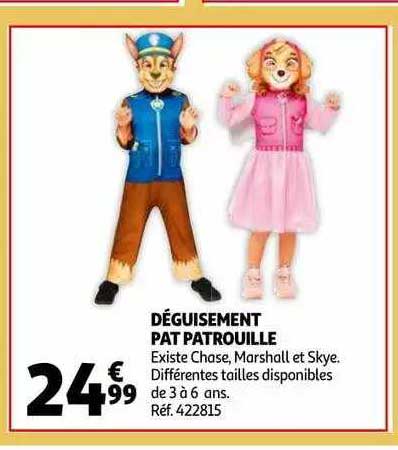 déguisement pat patrouille